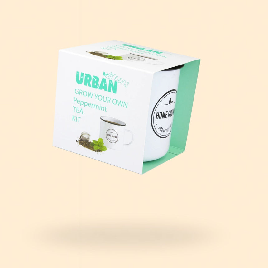Grow Your Own Organic Tea Kit