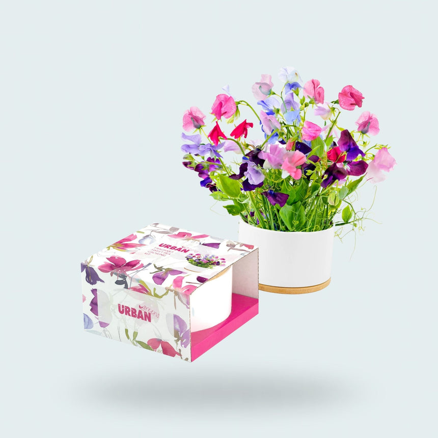 Pot of Flowers Grow Kit