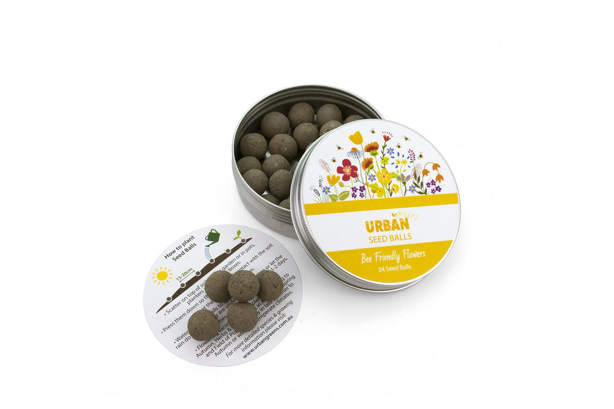 Seed Balls Gift Tin